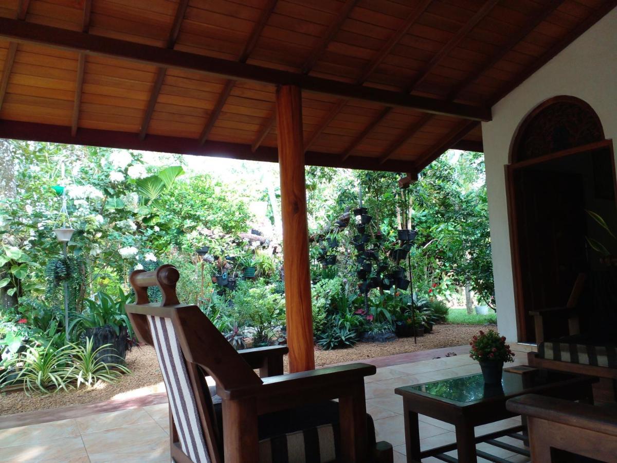 Zum Deutschen Bed & Breakfast Bentota Exterior foto
