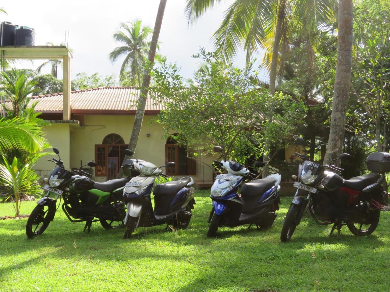 Zum Deutschen Bed & Breakfast Bentota Exterior foto
