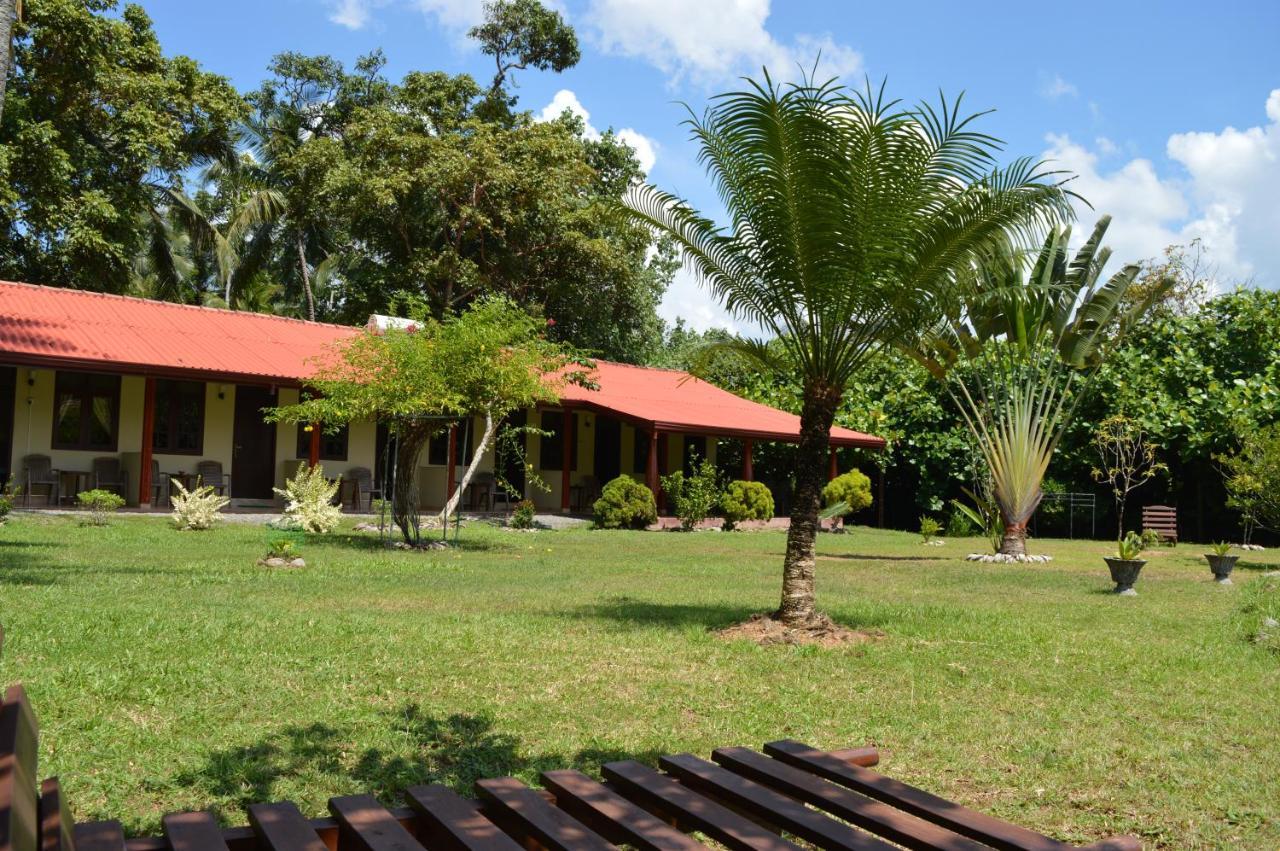 Zum Deutschen Bed & Breakfast Bentota Exterior foto