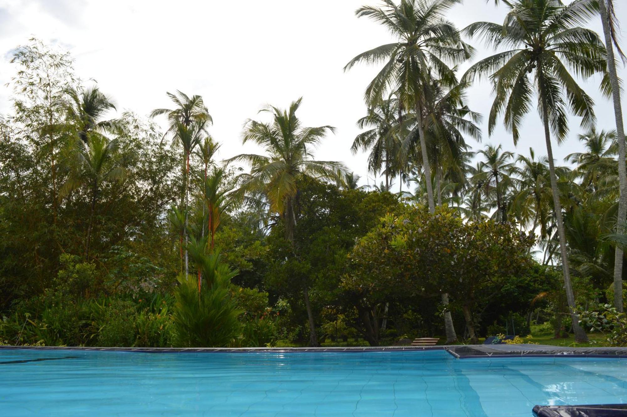 Zum Deutschen Bed & Breakfast Bentota Exterior foto