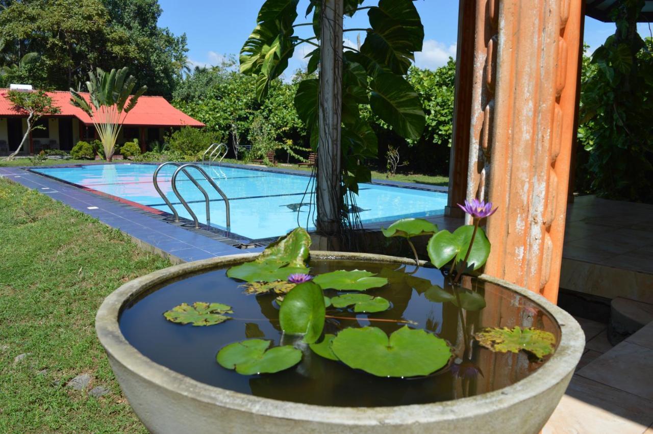 Zum Deutschen Bed & Breakfast Bentota Exterior foto